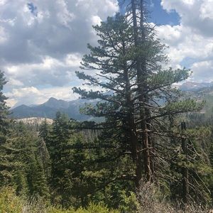 Meet your Posher, Zarifa